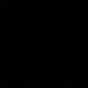 Meet your Posher, Will